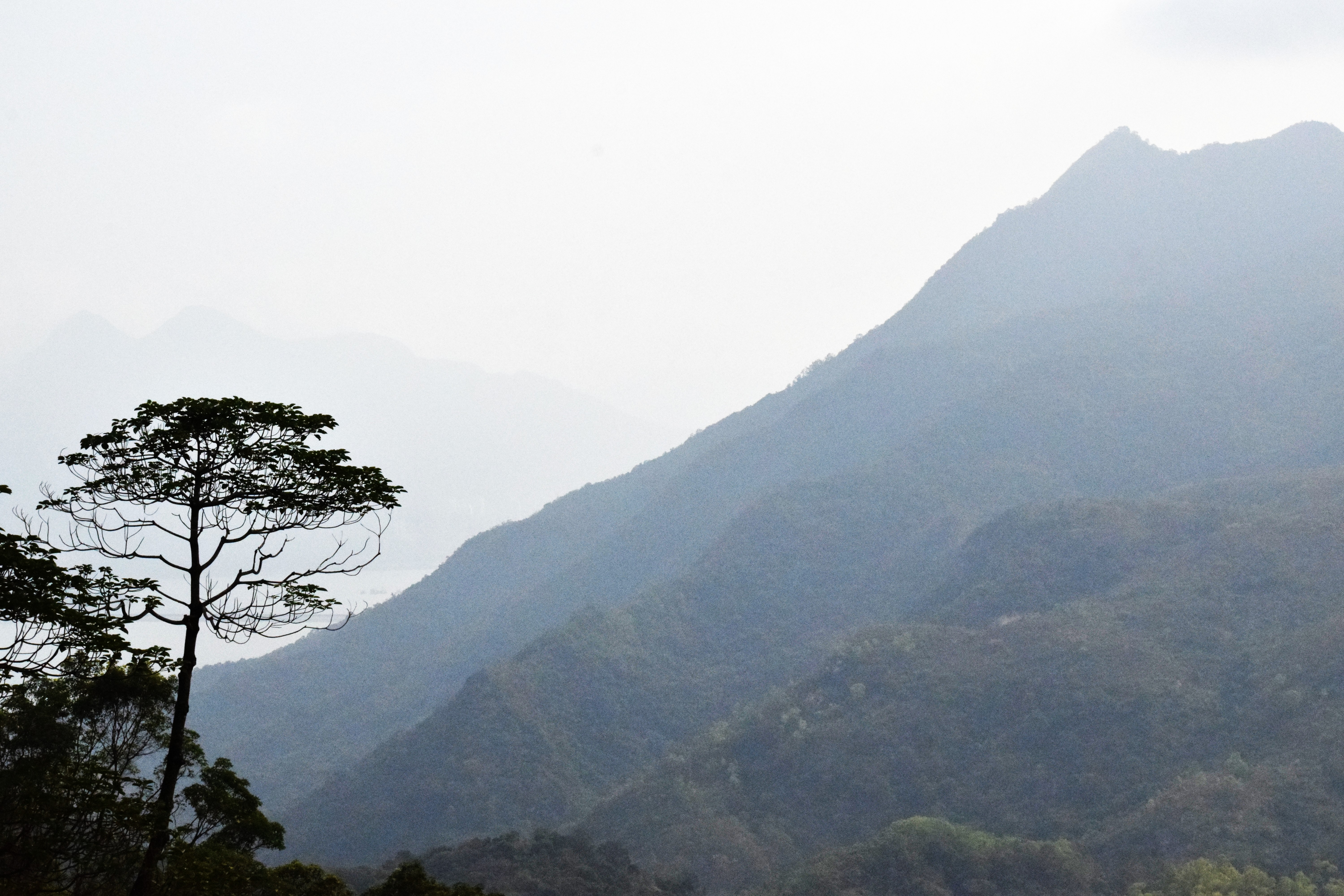 Wu Kau Tang Country Trail